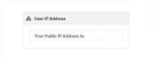 return-ip-address